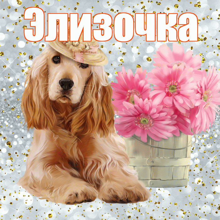 Элизочка! Доброе утро! Красивая открытка !