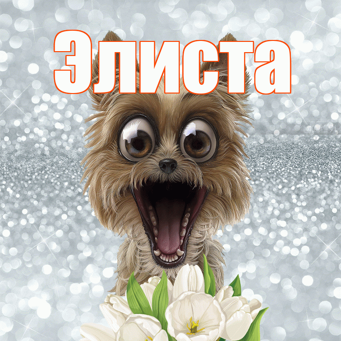 Элиста! Доброе утро! Красивая открытка Элисте!