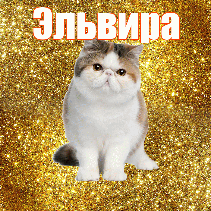 Эльвира! Доброе утро! Красивая открытка Эльвире!