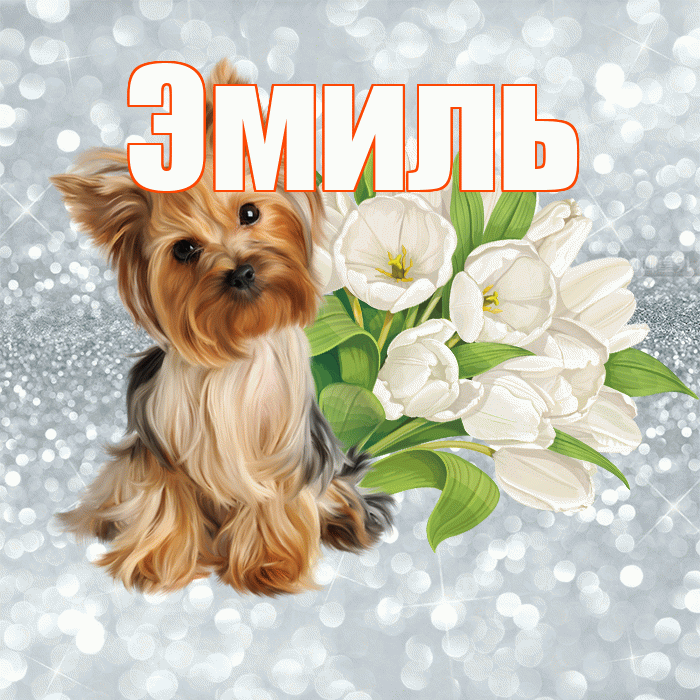 Эмиль! Доброе утро! Красивая открытка Эмилю!