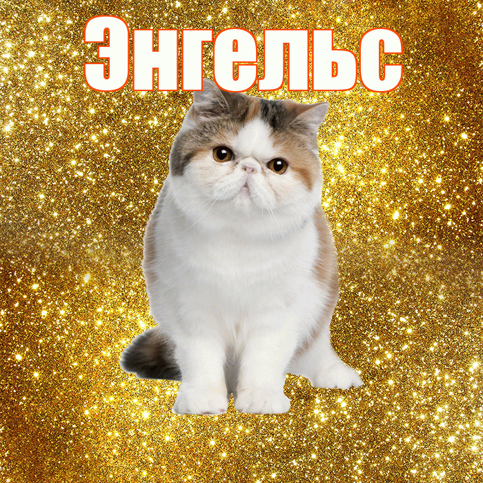 Энгельс! Доброе утро! Красивая открытка Энгельсу!
