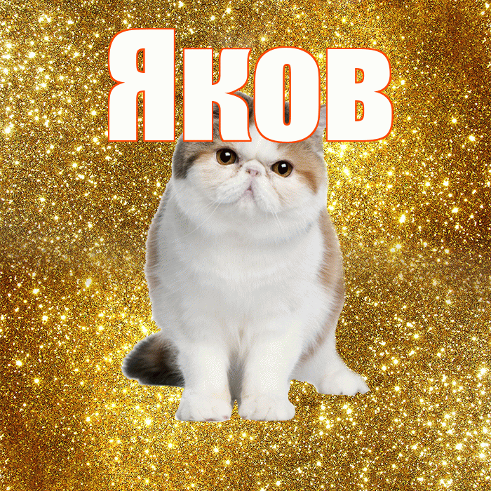 Яков! Доброе утро! Красивая открытка Яку!