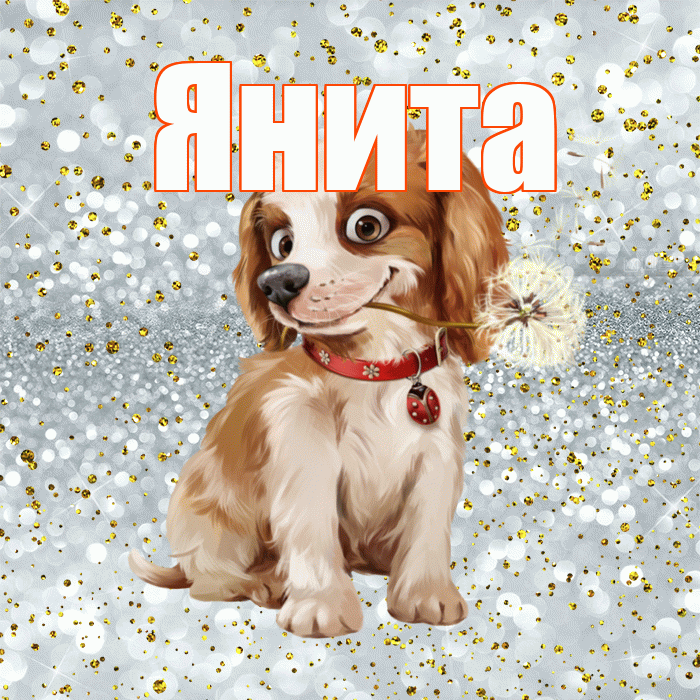 Янита! Доброе утро! Красивая открытка Яните!