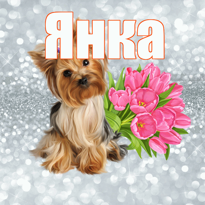 Янка! Доброе утро! Красивая открытка Янке!
