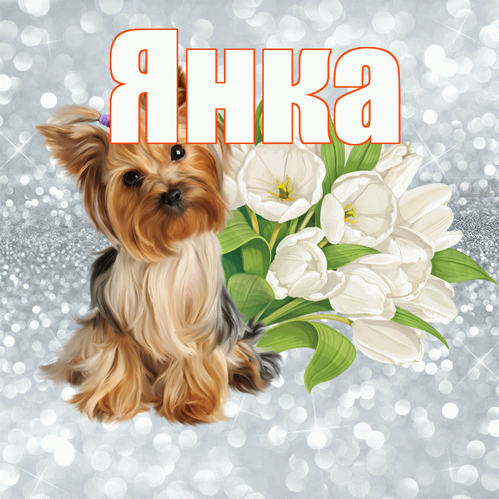 Янка! Доброе утро! Красивая открытка Янке!