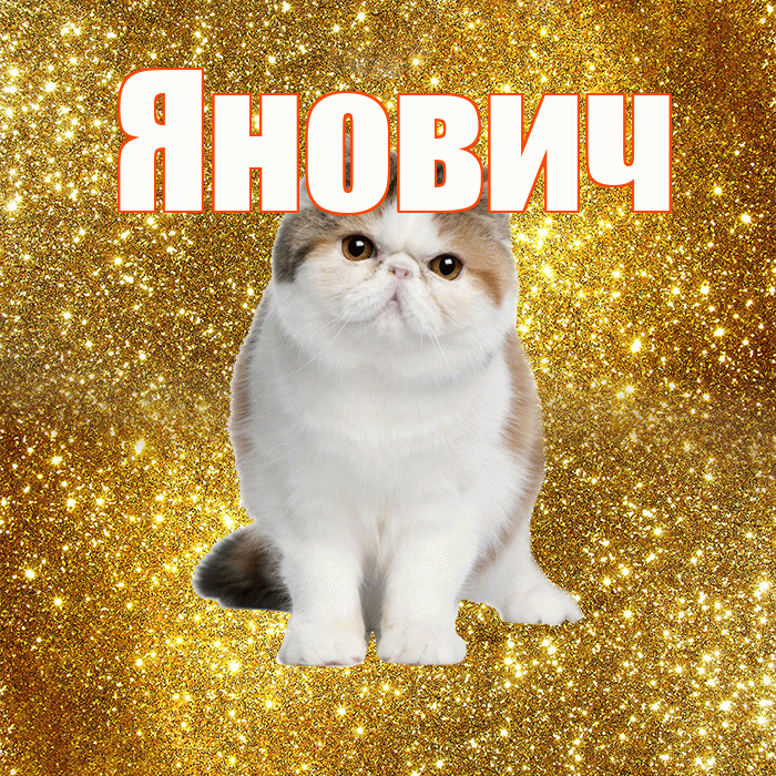 Янович! Доброе утро! Красивая открытка Яновичу!