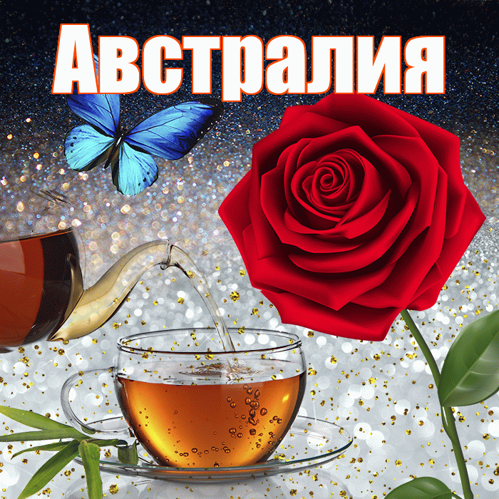 Австралия! Добрый зимний вечер! Красивая открытка Австралии!