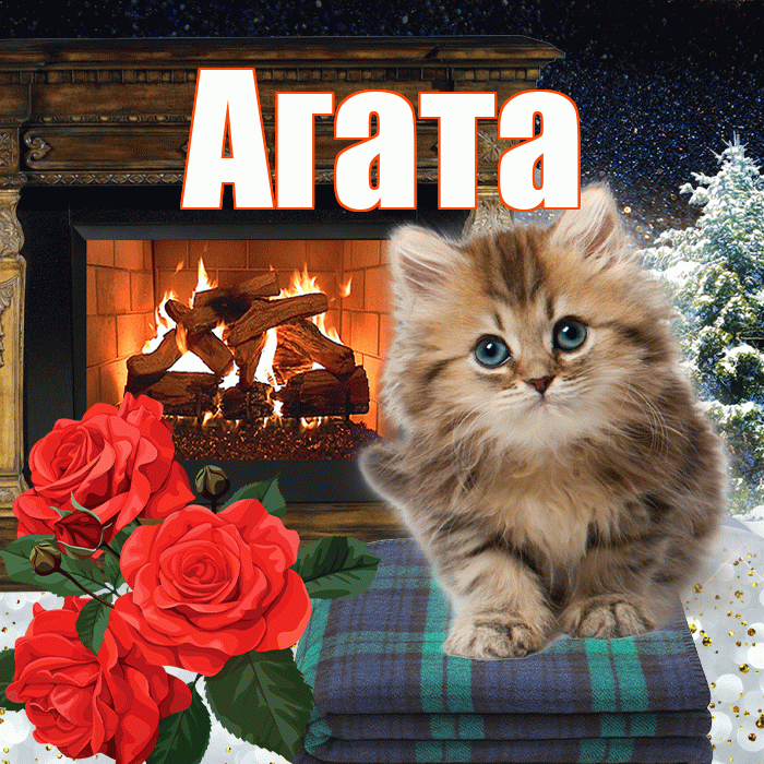 Агата! Добрый зимний вечер! Красивая открытка Агате!