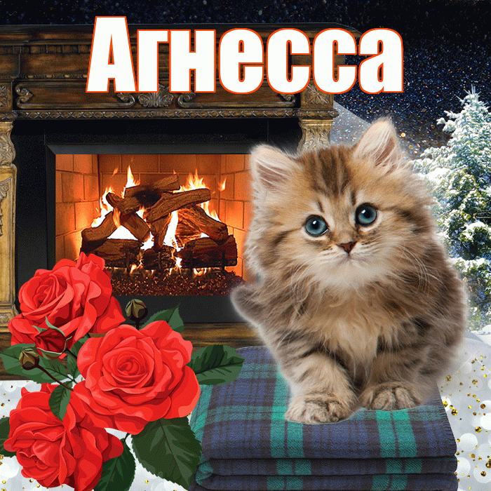Агнесса! Добрый зимний вечер! Красивая открытка Агнессе!