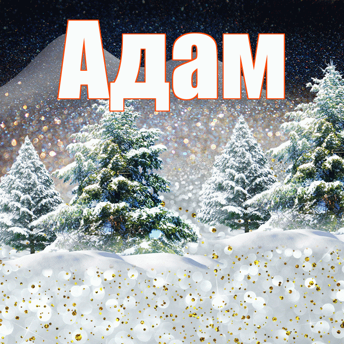 Адам! Добрый зимний вечер! Красивая открытка Адаму!