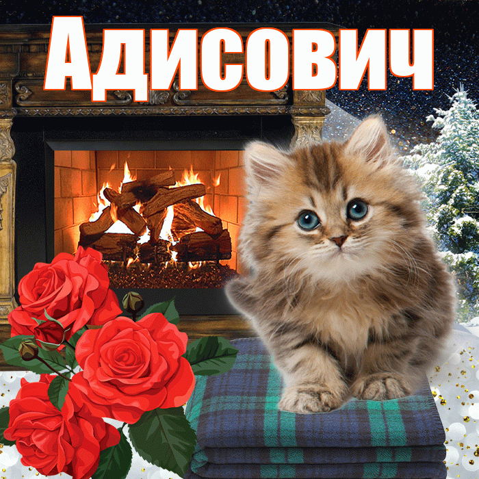 Адисович! Добрый зимний вечер! Красивая открытка Адисовичу!