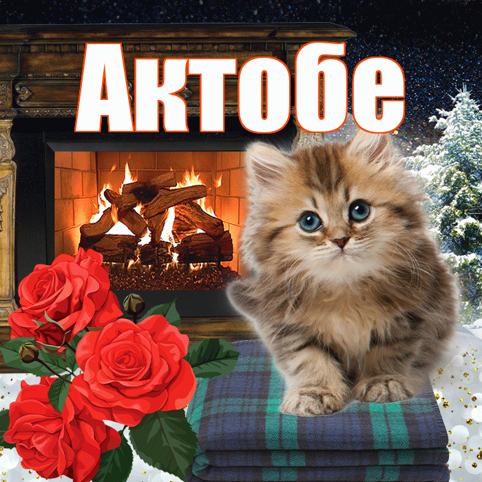 Актобе! Добрый зимний вечер! Красивая открытка Актобе!