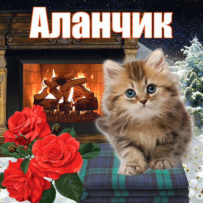 Аланчик! Добрый зимний вечер! Красивая открытка !