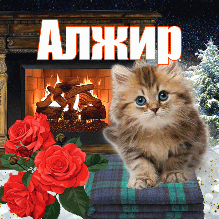 Алжир! Добрый зимний вечер! Красивая открытка Алжиру!