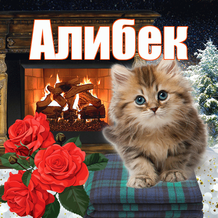 Алибек! Добрый зимний вечер! Красивая открытка Алибеку!