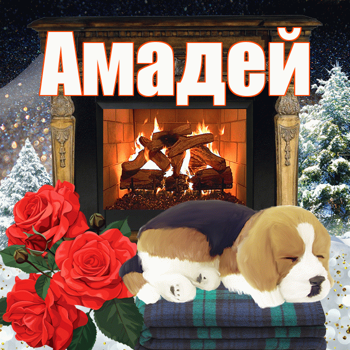 Амадей! Добрый зимний вечер! Красивая открытка Амадею!