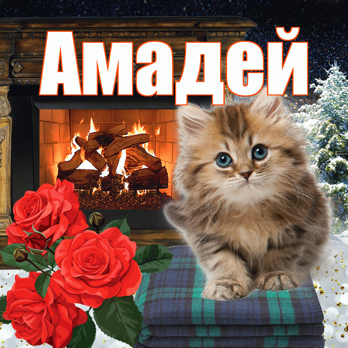 Амадей! Добрый зимний вечер! Красивая открытка Амадею!