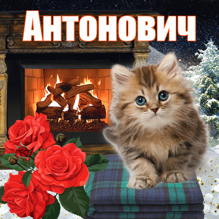 Антонович! Добрый зимний вечер! Красивая открытка Антоновичу!