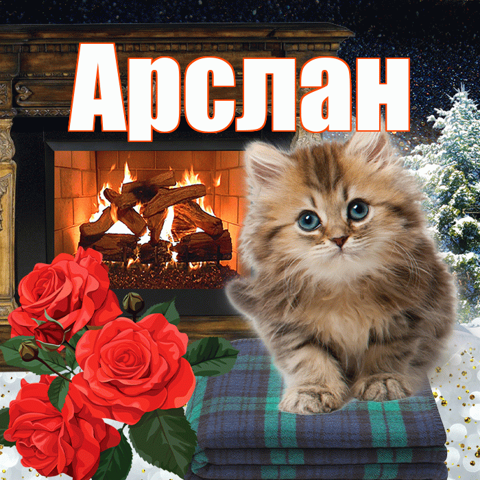 Арслан! Добрый зимний вечер! Красивая открытка Арслану!