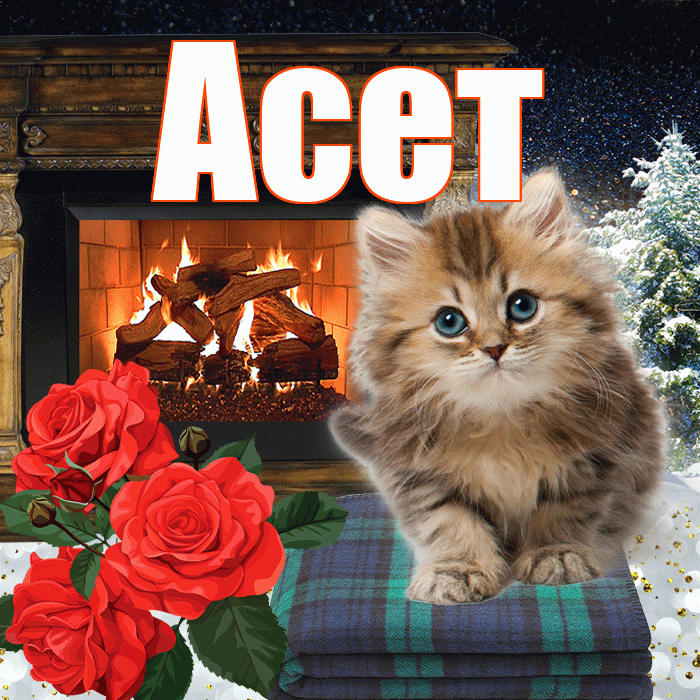 Асет! Добрый зимний вечер! Красивая открытка Асету!