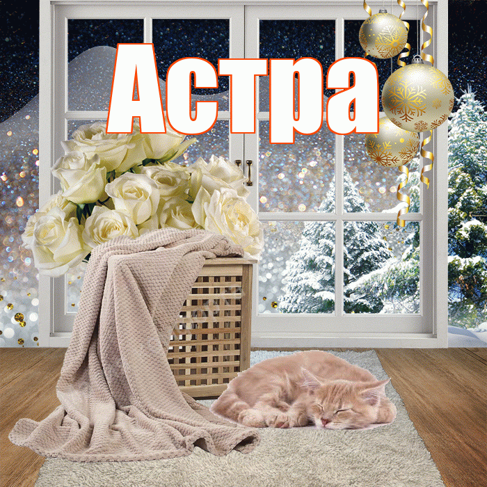 Астра! Добрый зимний вечер! Красивая открытка Астровне!