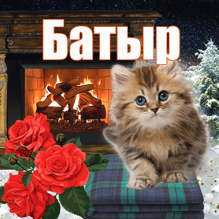 Батыр! Добрый зимний вечер! Красивая открытка Батыру!
