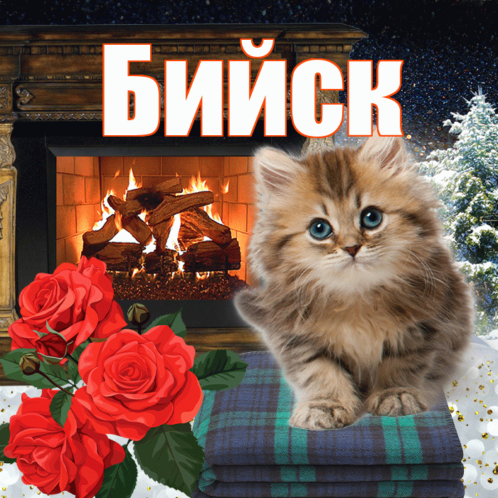 Бийск! Добрый зимний вечер! Красивая открытка Бийску!