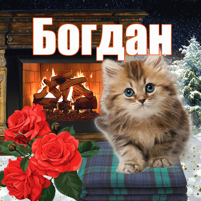 Богдан! Добрый зимний вечер! Красивая открытка Богдану!