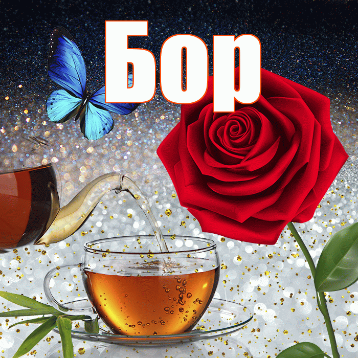 Бор! Добрый зимний вечер! Красивая открытка Бору!