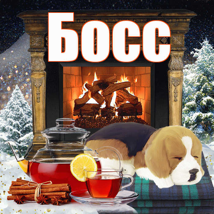 Босс! Добрый зимний вечер! Красивая открытка Боссу!