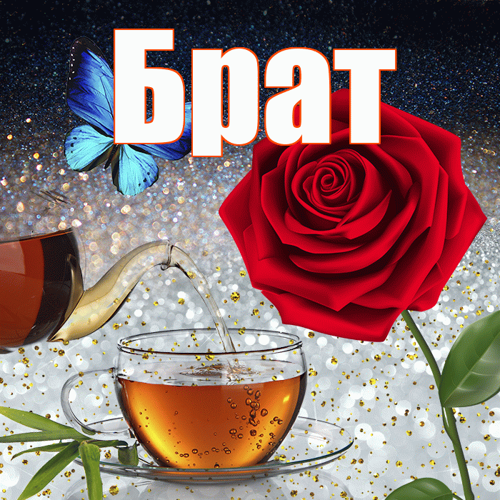 Брат! Добрый зимний вечер! Красивая открытка Брату!