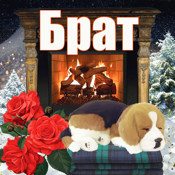 Брат! Добрый зимний вечер! Красивая открытка Брату!