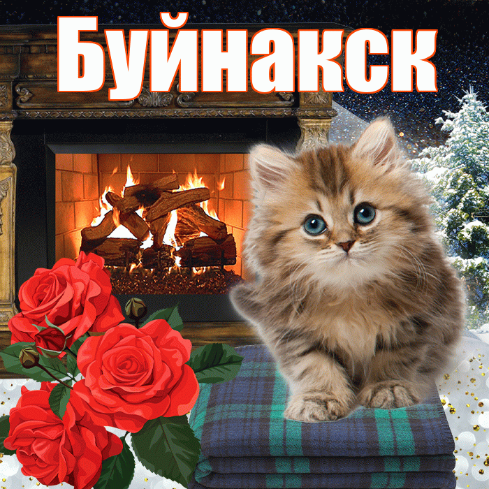 Буйнакск! Добрый зимний вечер! Красивая открытка Буйнакску!