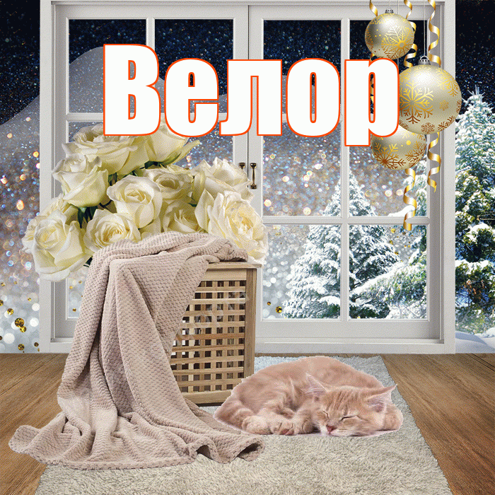 Велор! Добрый зимний вечер! Красивая открытка Велоре!