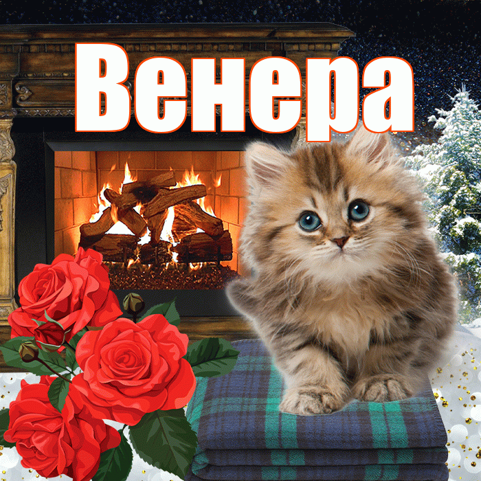 Венера! Добрый зимний вечер! Красивая открытка Венере!