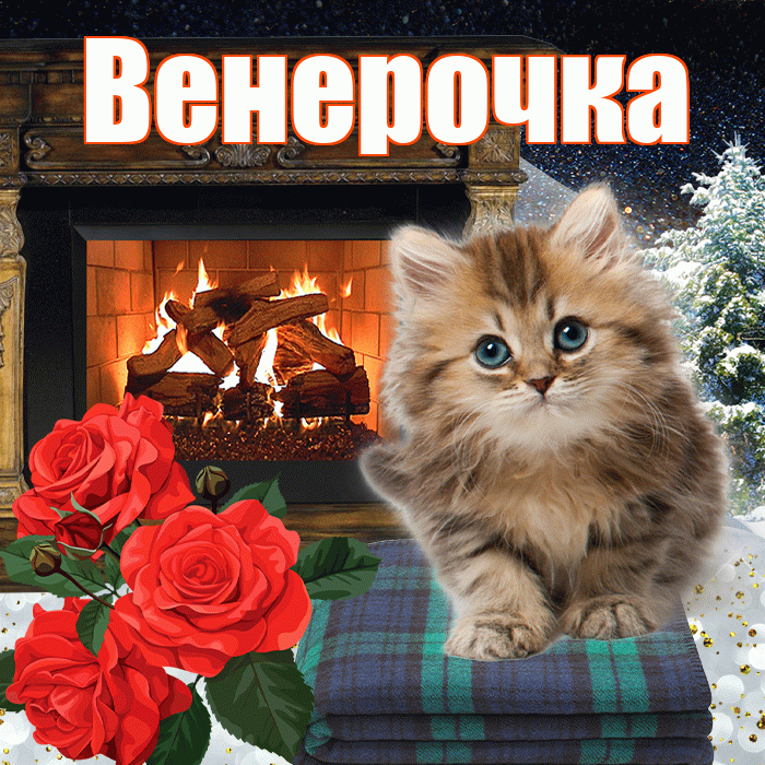 Венерочка! Добрый зимний вечер! Красивая открытка !