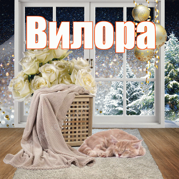 Вилора! Добрый зимний вечер! Красивая открытка Вилору!