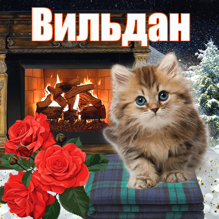 Вильдан! Добрый зимний вечер! Красивая открытка Вильдану!