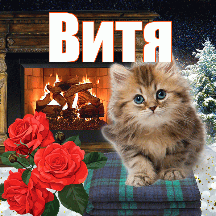 Витя! Добрый зимний вечер! Красивая открытка Вите!