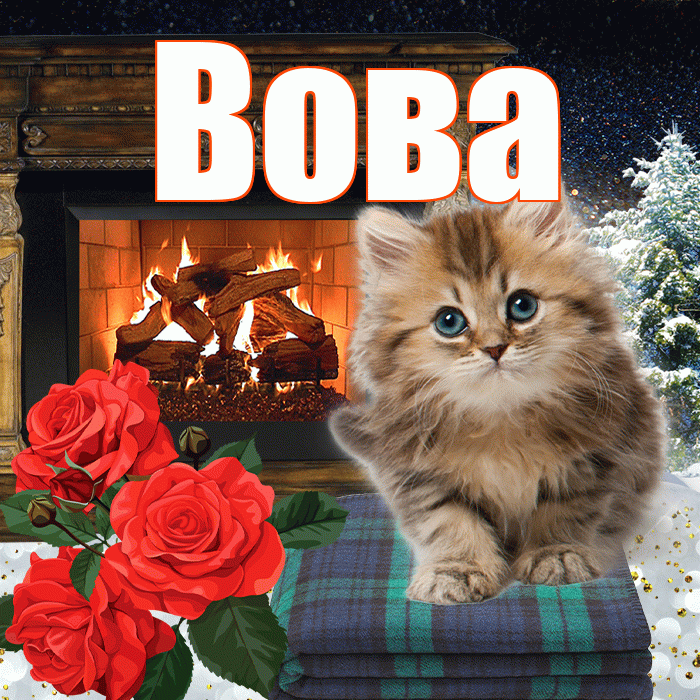 Вова! Добрый зимний вечер! Красивая открытка Вове!