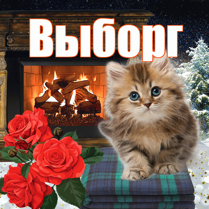 Выборг! Добрый зимний вечер! Красивая открытка Выборгу!