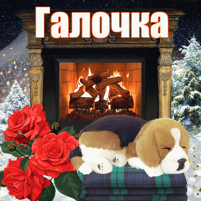 Галочка! Добрый зимний вечер! Красивая открытка !