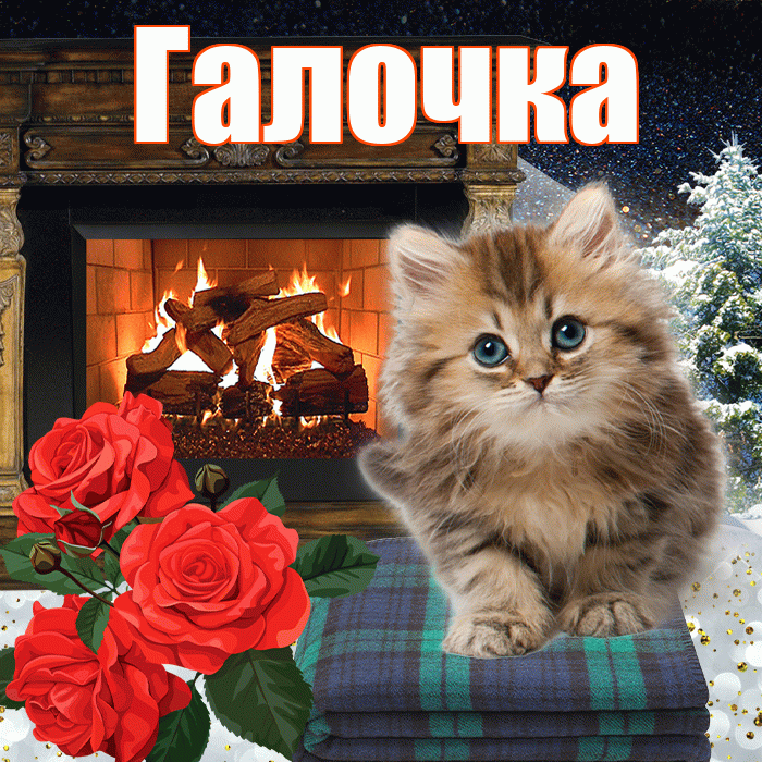 Галочка! Добрый зимний вечер! Красивая открытка !
