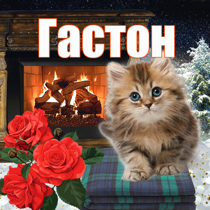 Гастон! Добрый зимний вечер! Красивая открытка Гастону!