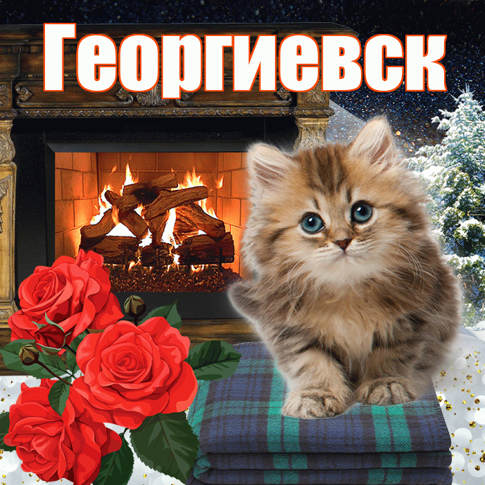 Георгиевск! Добрый зимний вечер! Красивая открытка Георгиевску!