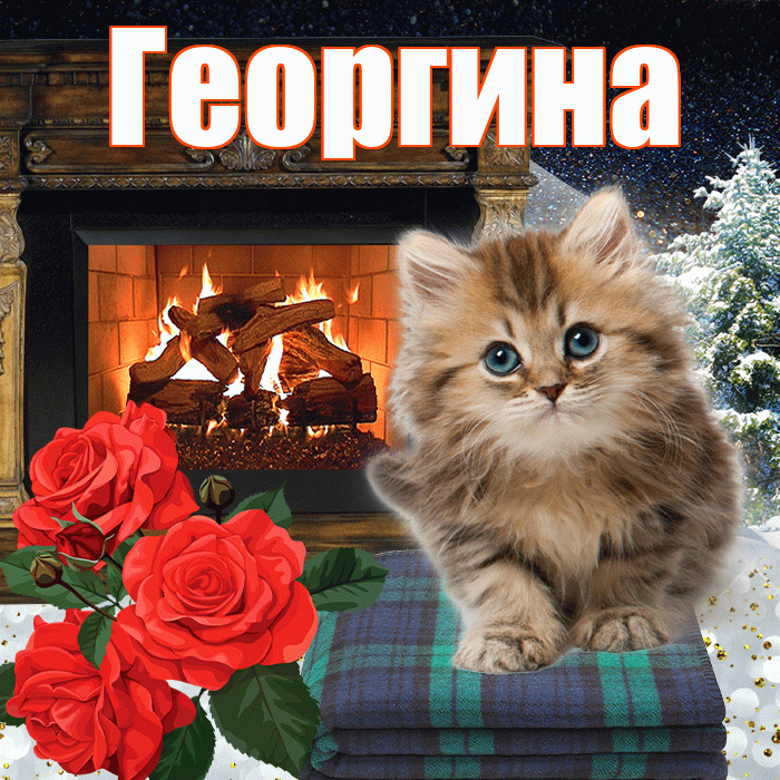 Георгина! Добрый зимний вечер! Красивая открытка Георгине!