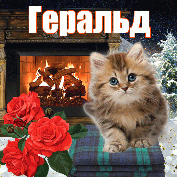 Геральд! Добрый зимний вечер! Красивая открытка Геральду!