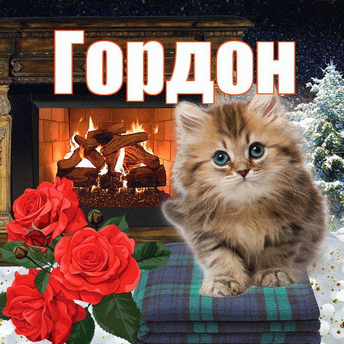 Гордон! Добрый зимний вечер! Красивая открытка Гордону!