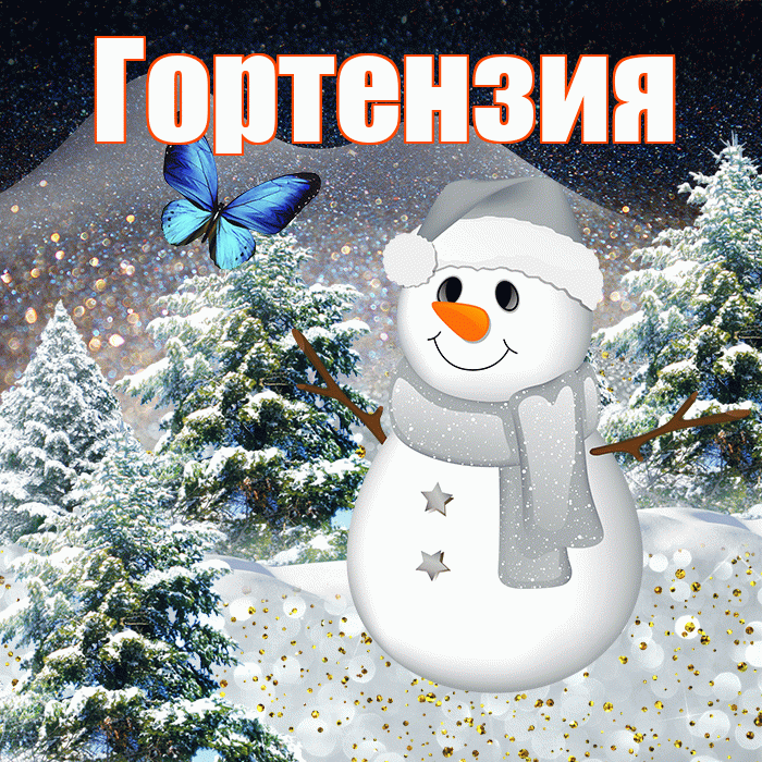 Гортензия! Добрый зимний вечер! Красивая открытка Гортензии!