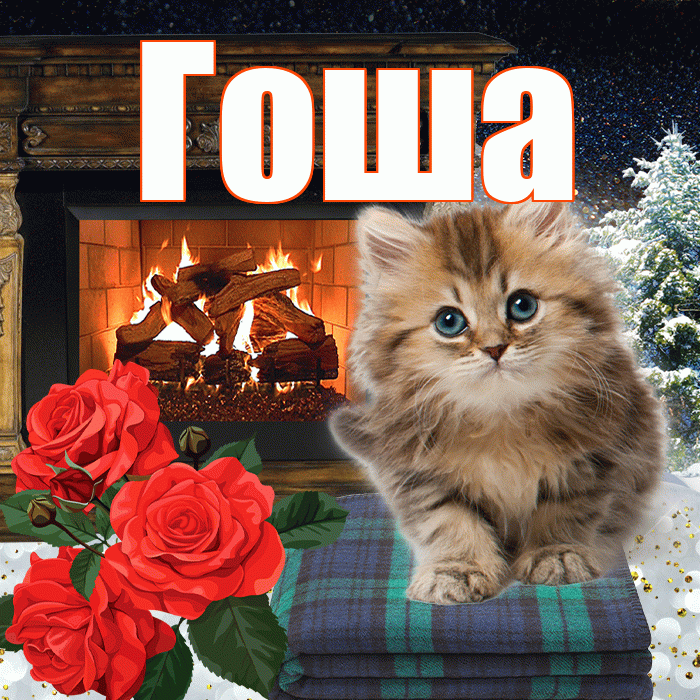 Гоша! Добрый зимний вечер! Красивая открытка Гоше!